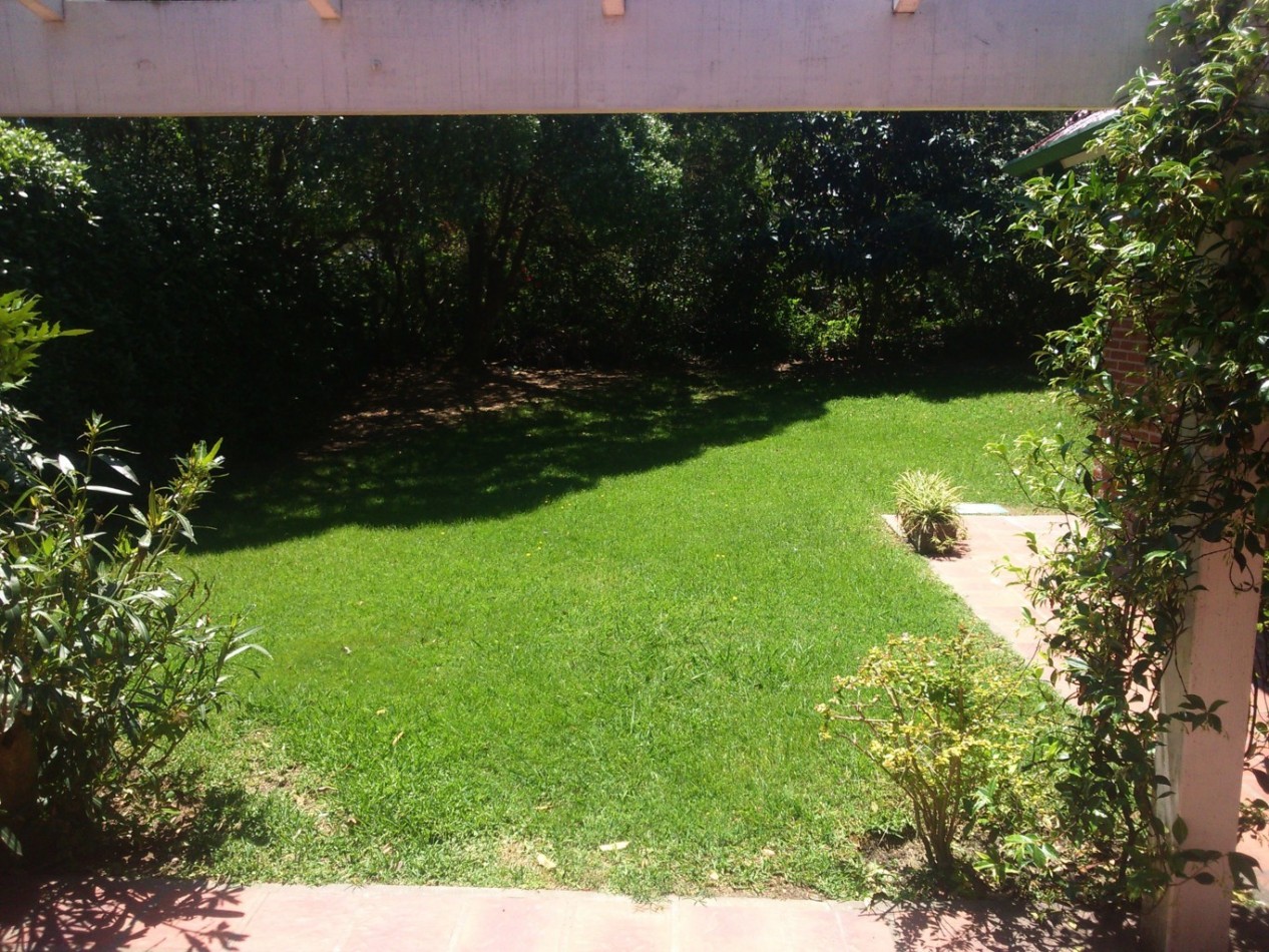 4 - Halcon casi Seaver