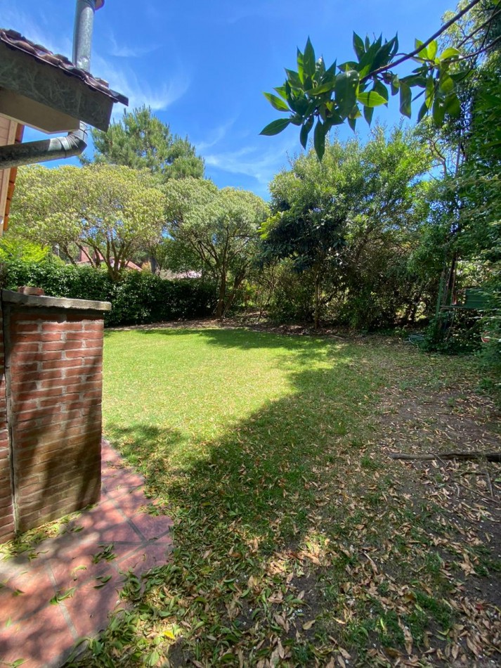 4 - Halcon casi Seaver