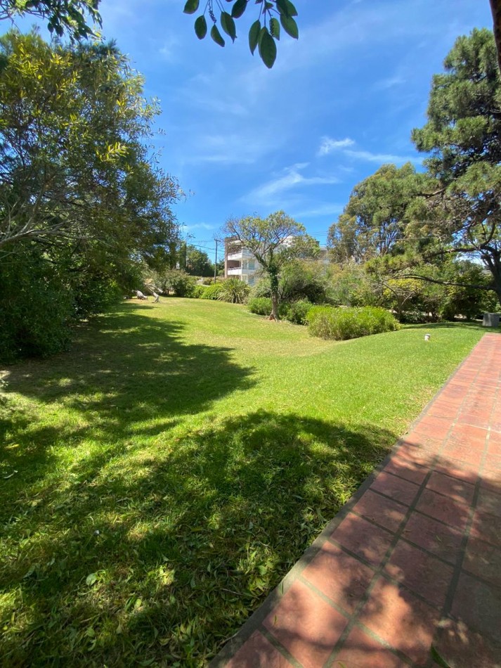 4 - Halcon casi Seaver