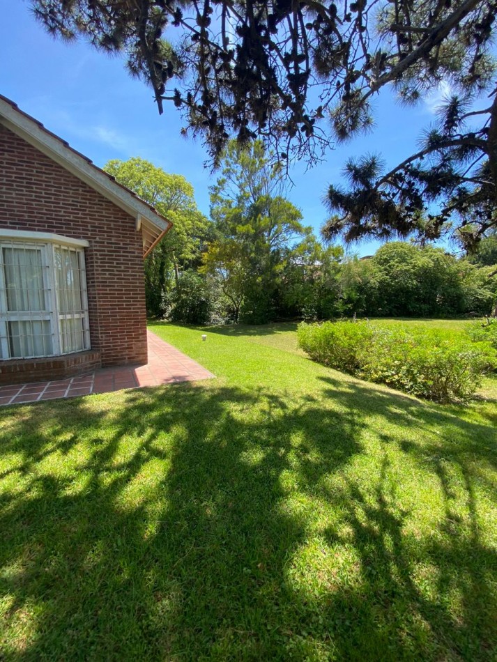 4 - Halcon casi Seaver