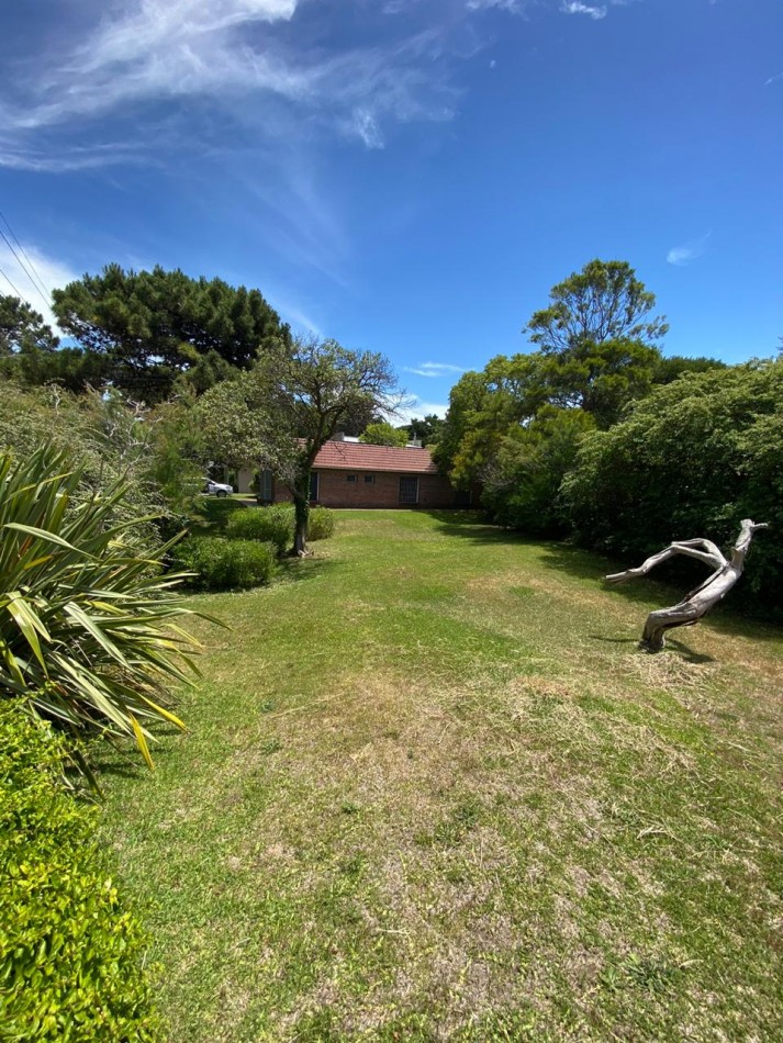 4 - Halcon casi Seaver