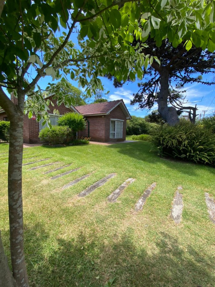 4 - Halcon casi Seaver