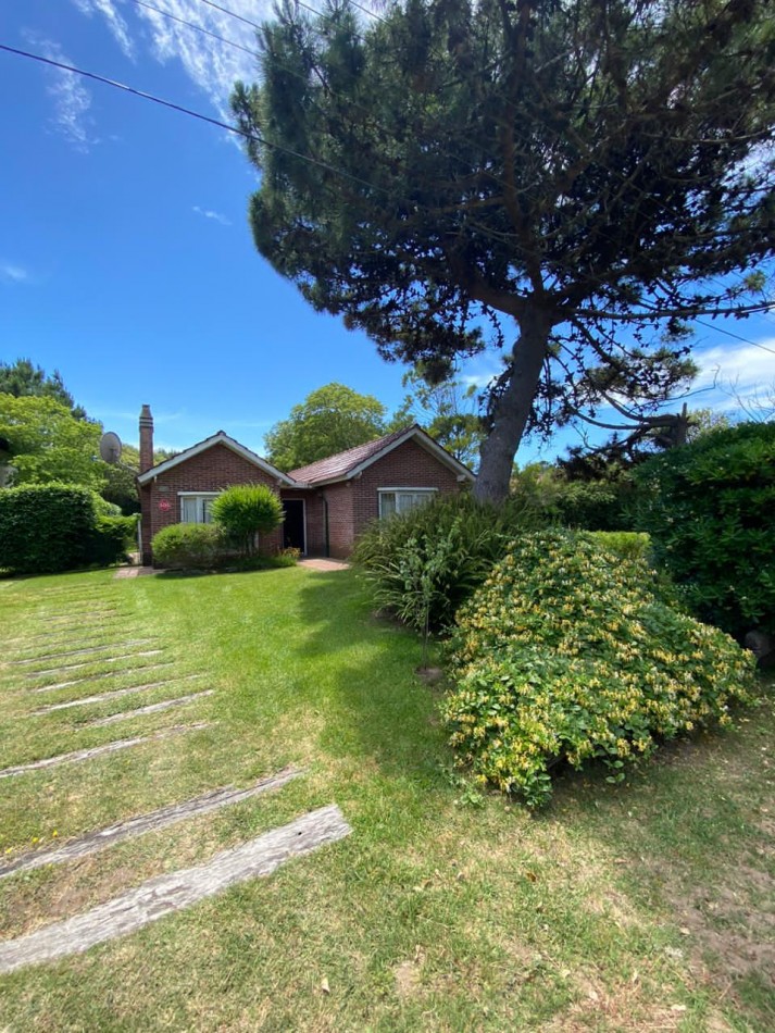 4 - Halcon casi Seaver