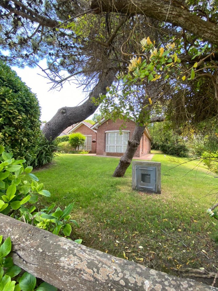 4 - Halcon casi Seaver