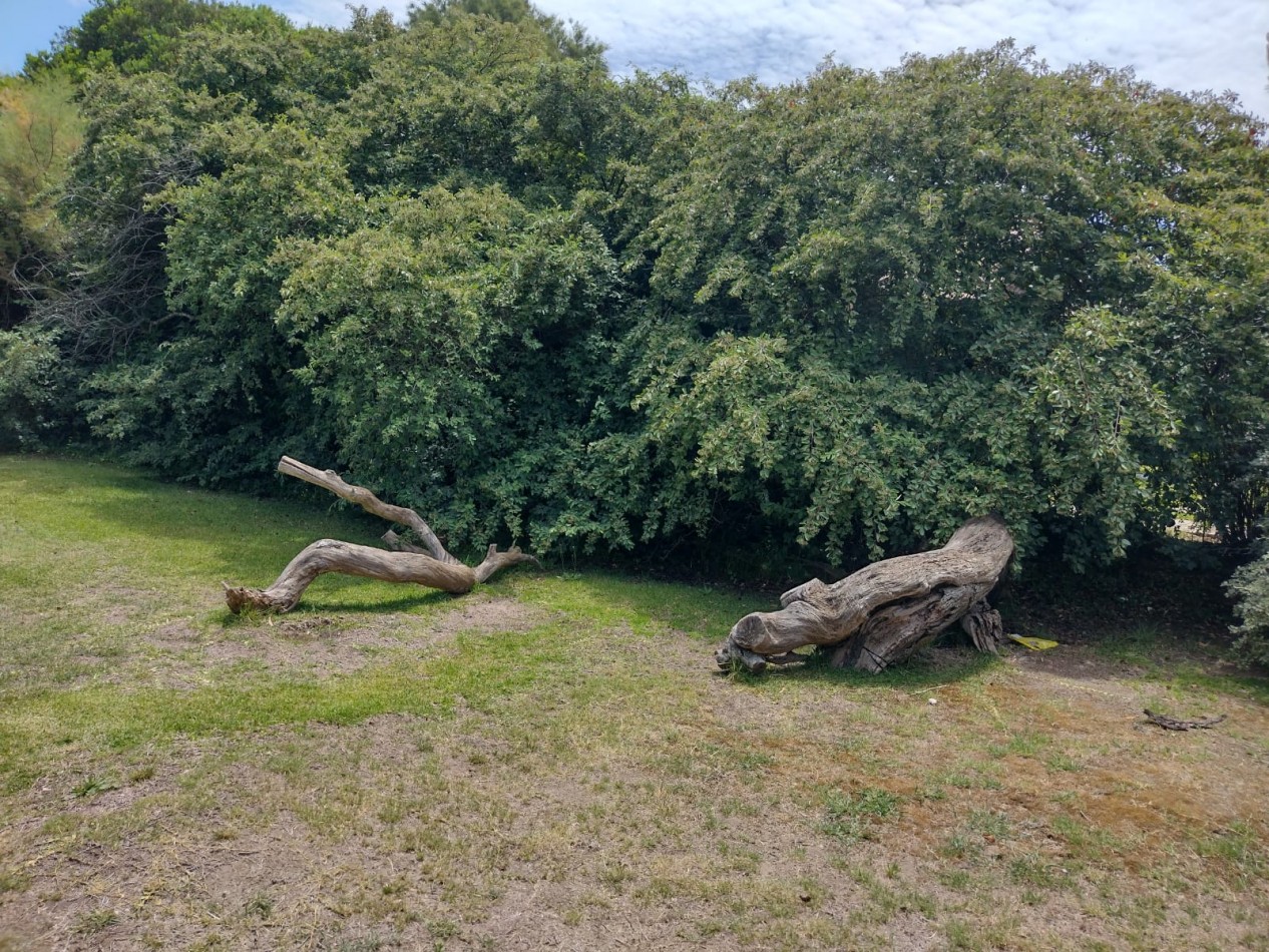 HERMOSO TERRENO A METROS DEL MAR