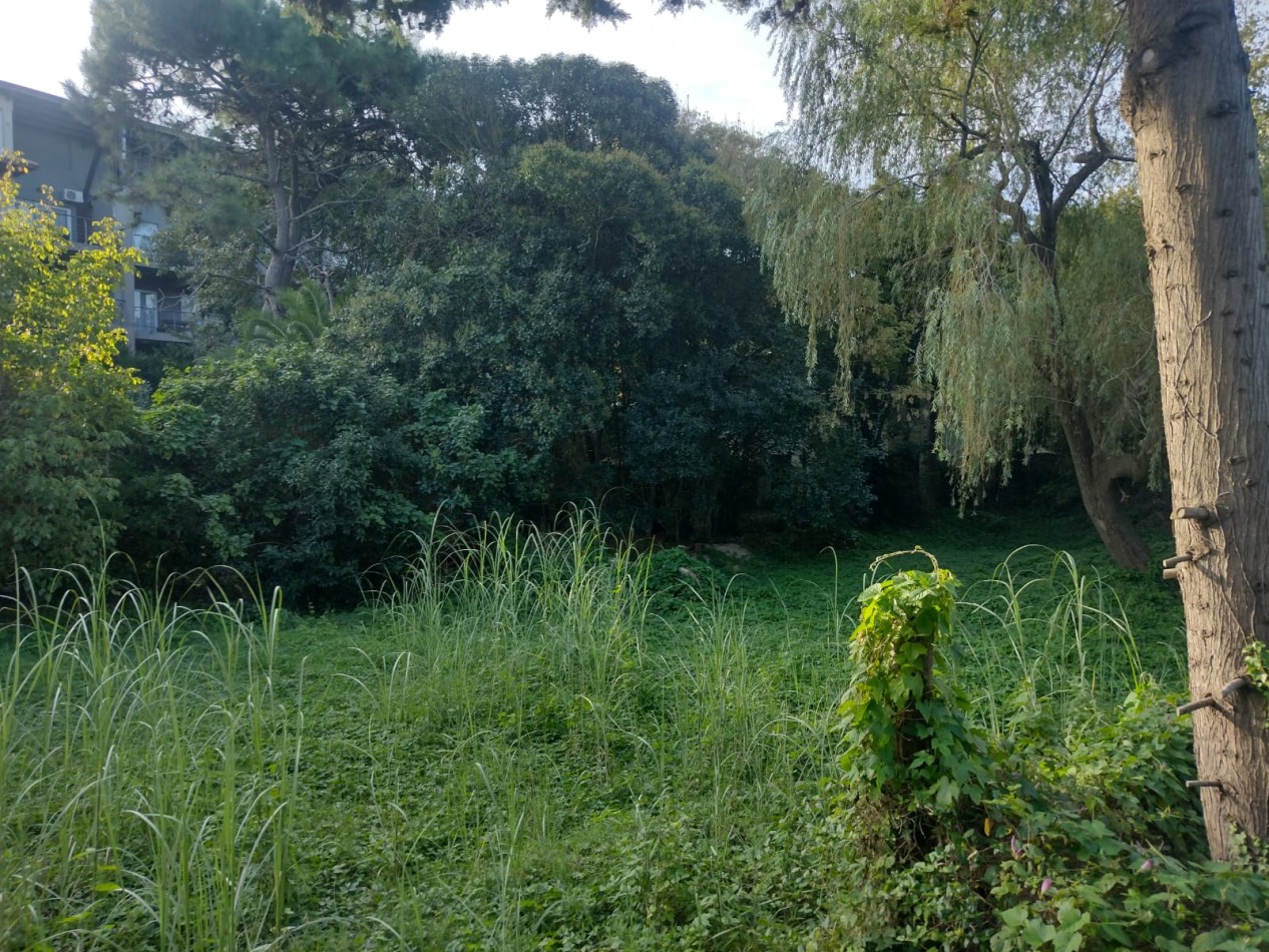 HERMOSO LOTE MULTIFAMILIAR EN VALERIA DEL MAR