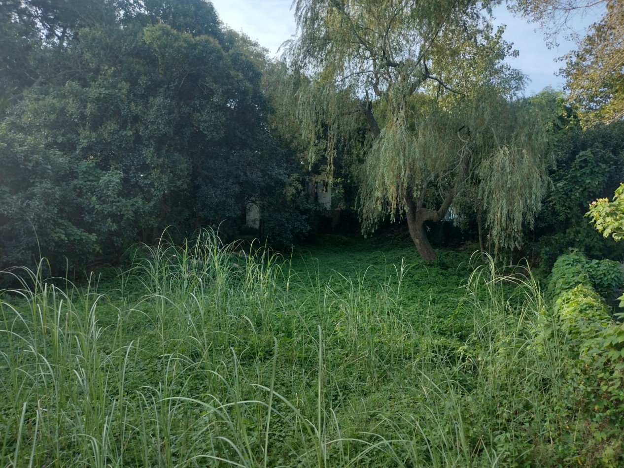 HERMOSO LOTE MULTIFAMILIAR EN VALERIA DEL MAR