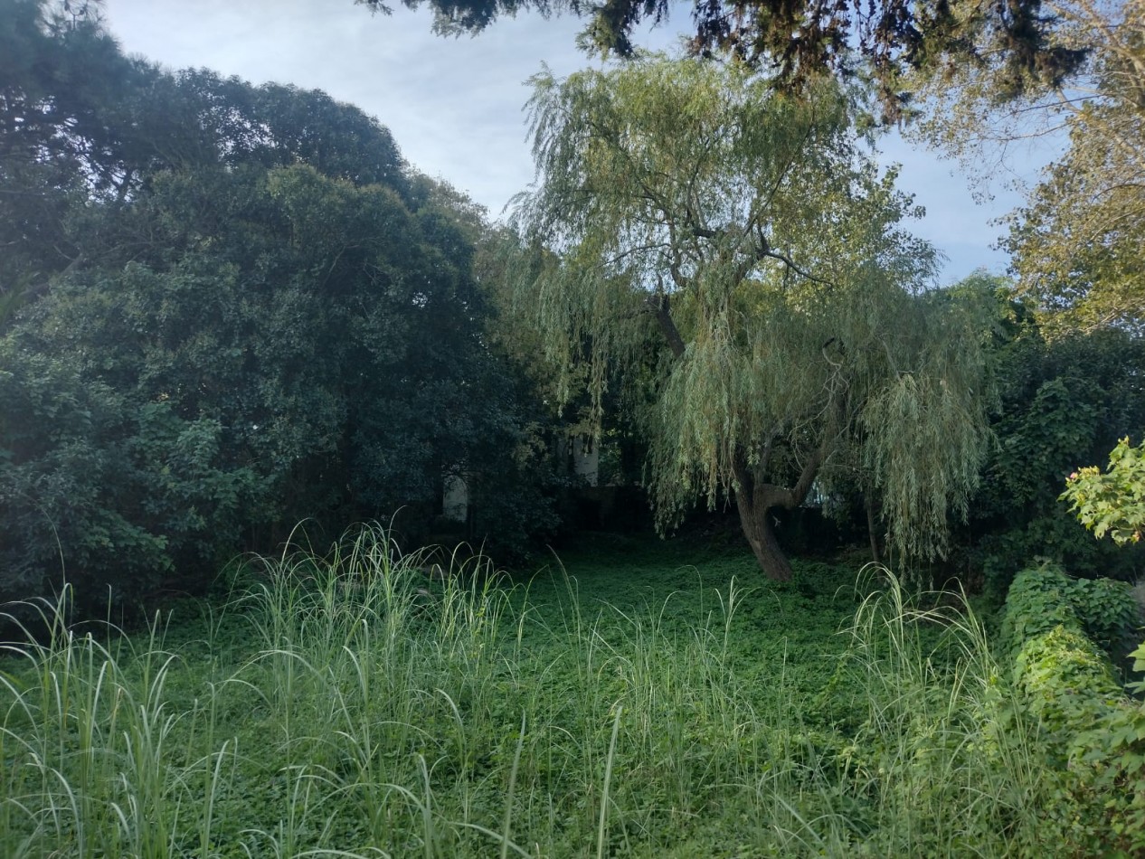 HERMOSO LOTE MULTIFAMILIAR EN VALERIA DEL MAR