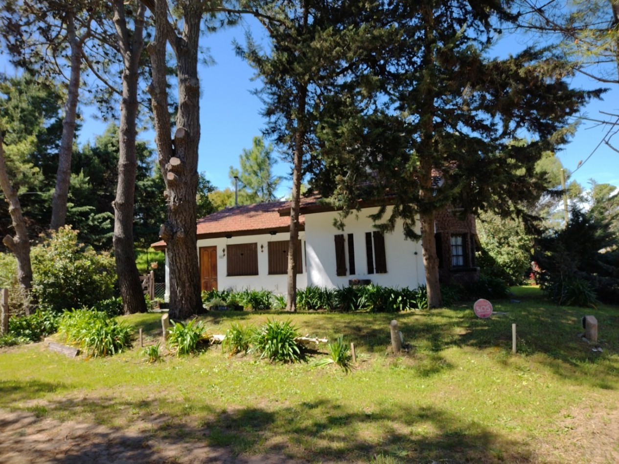 25 - AGRADABLE ESQUINA BALBOA