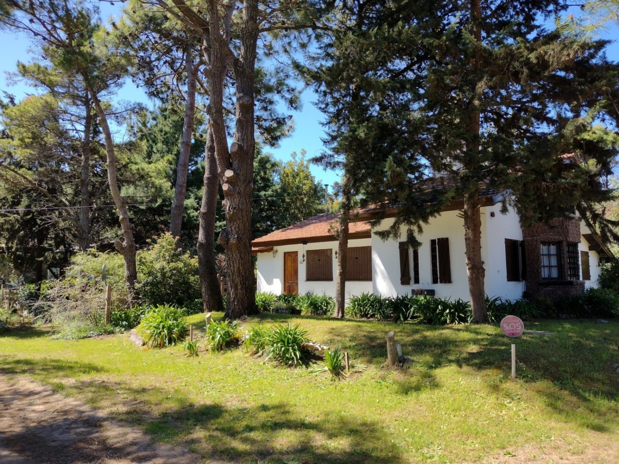 25 - AGRADABLE ESQUINA BALBOA