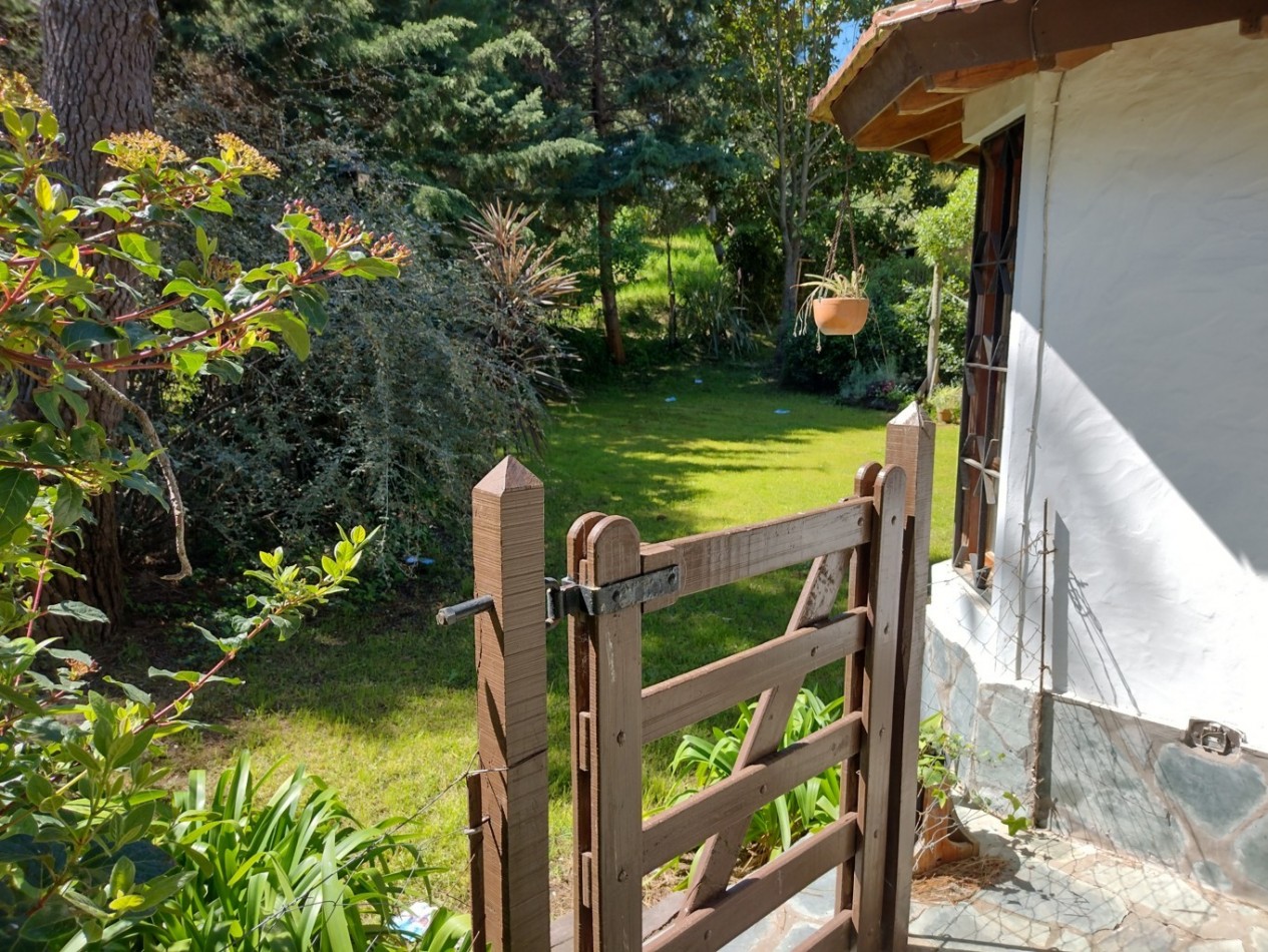 25 - AGRADABLE ESQUINA BALBOA