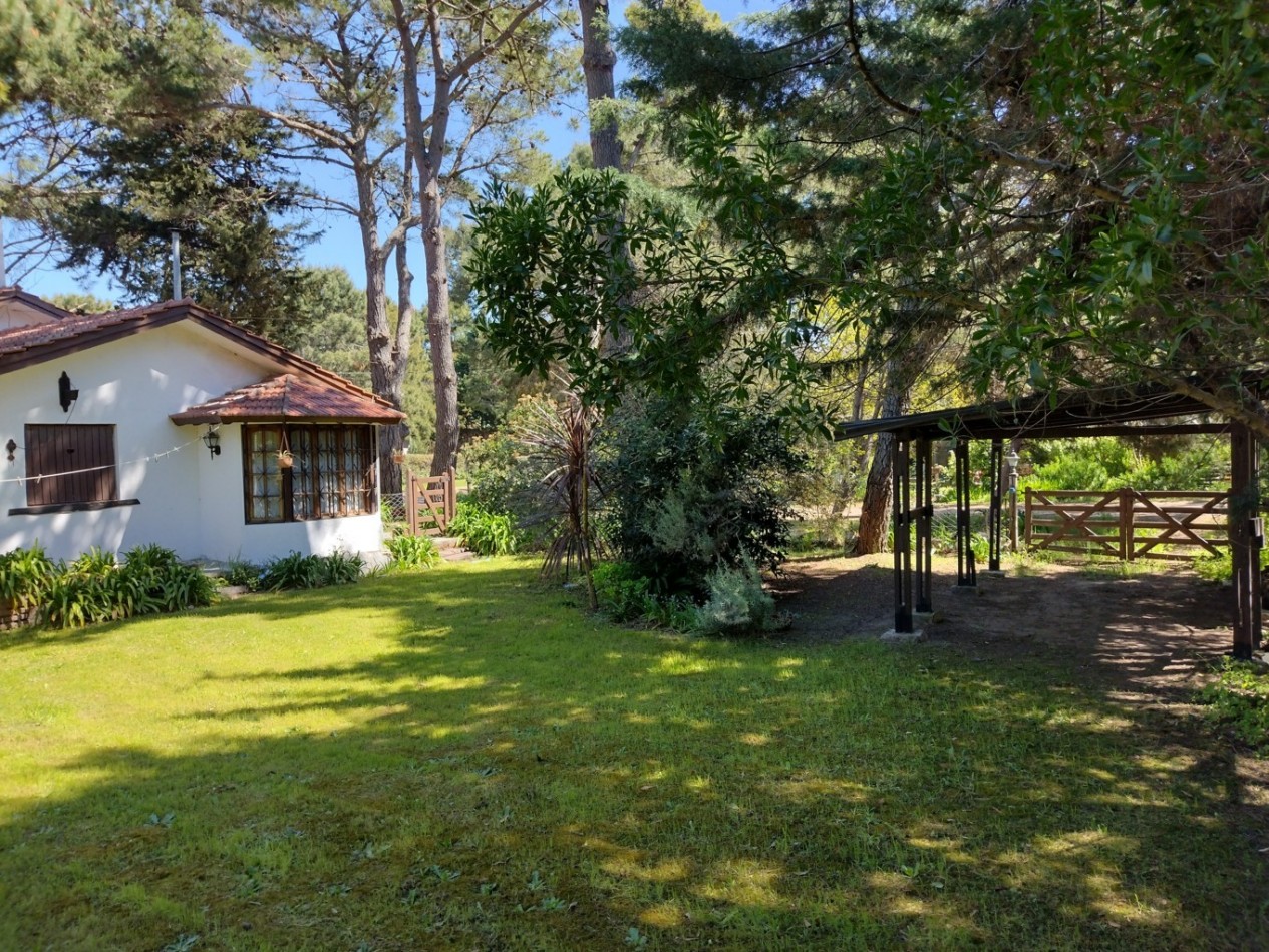 25 - AGRADABLE ESQUINA BALBOA