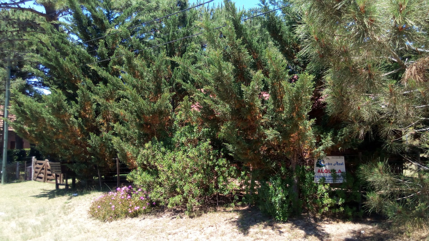 104 - DRUMOND ESQUINA URQUIZA