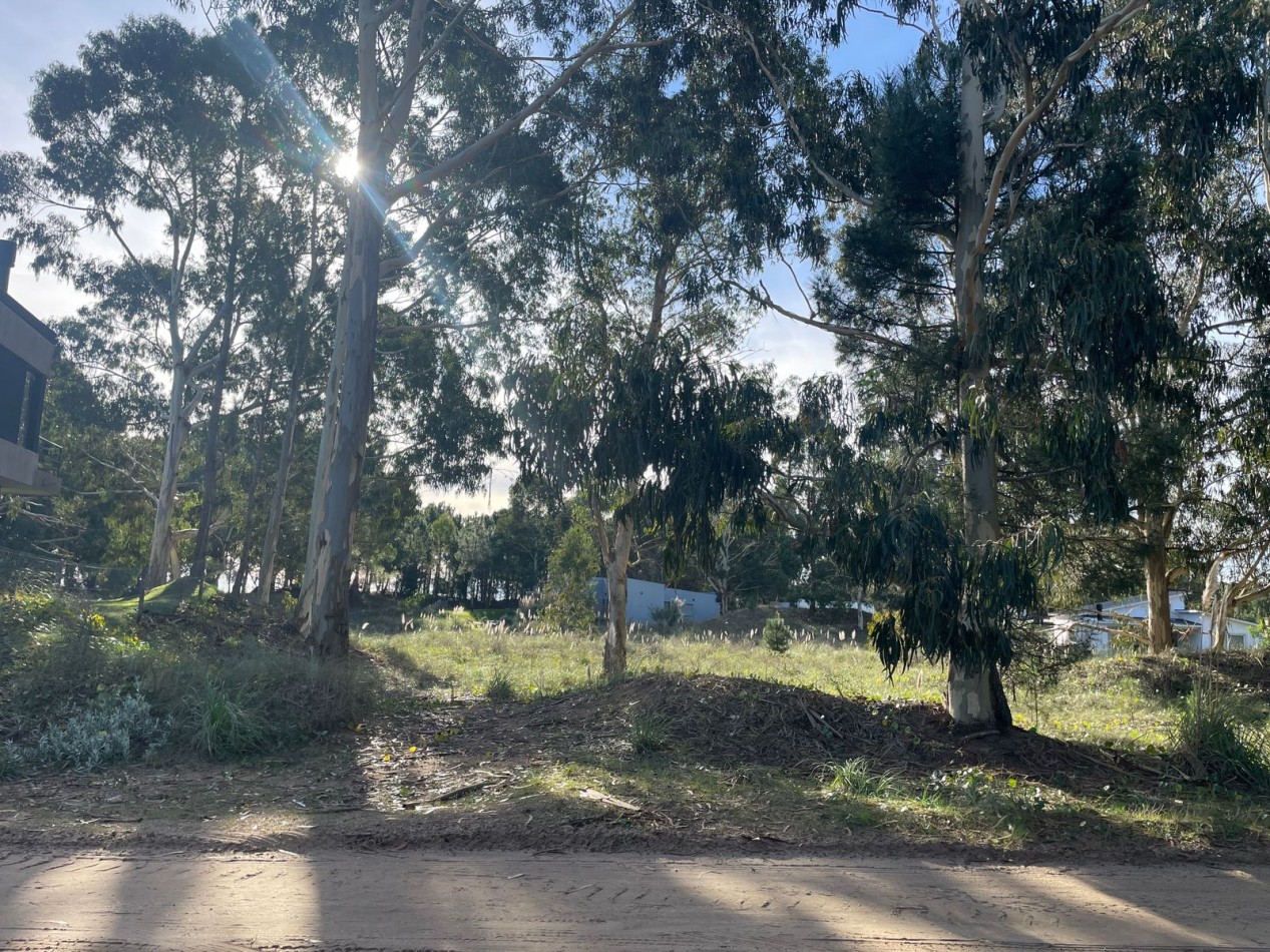 HERMOSO TERRENO EN COSTA ESMERALDA. LOTE 222 DEL BARRIO ECUESTRE.