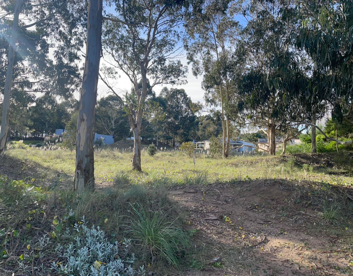 HERMOSO TERRENO EN COSTA ESMERALDA. LOTE 222 DEL BARRIO ECUESTRE.