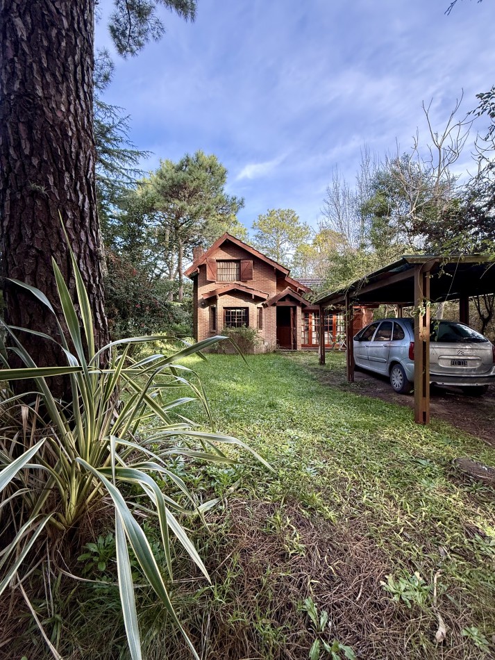 BETBEDER ENTRE ARCACHON Y LORIA