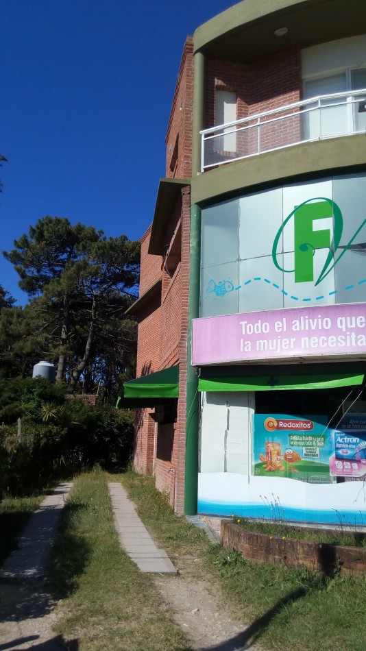 2/1 - DEPARTAMENTO CENTRICO - ESPORA 533