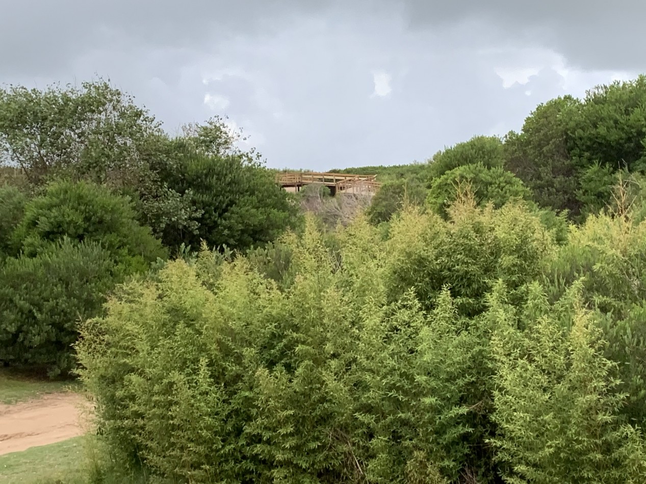 78 - URTUBEY CASI COSTANERA - UNIDAD 1